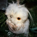 Christmas 2018 - snowy owl ornament